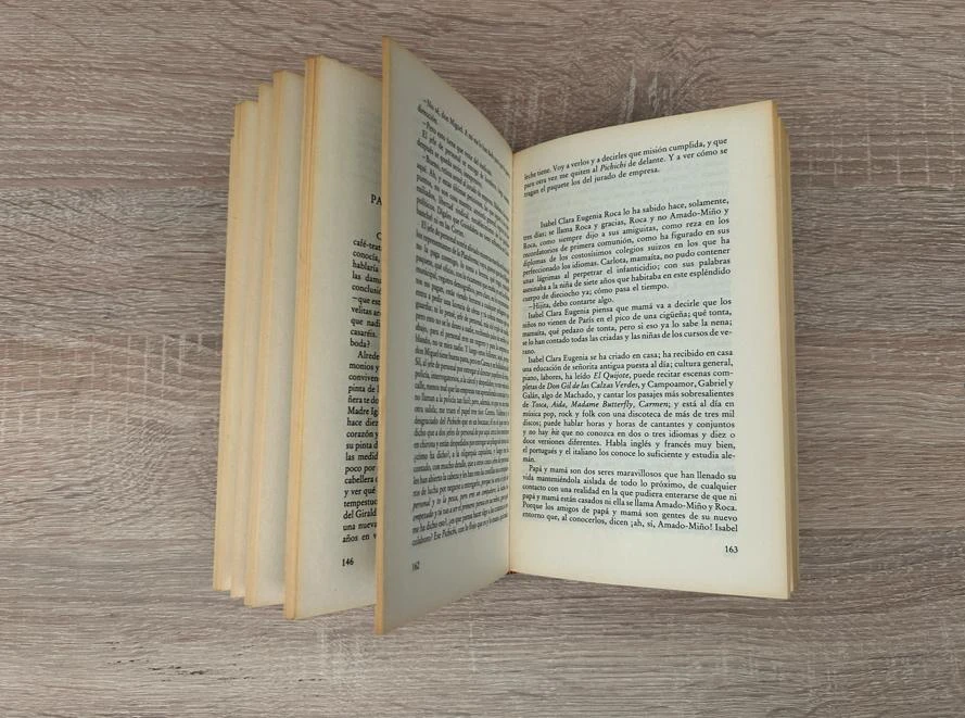 Boek Echtscheiding voor een gebroken maagd - Ángel Palomino (Hardcover) – photo 5